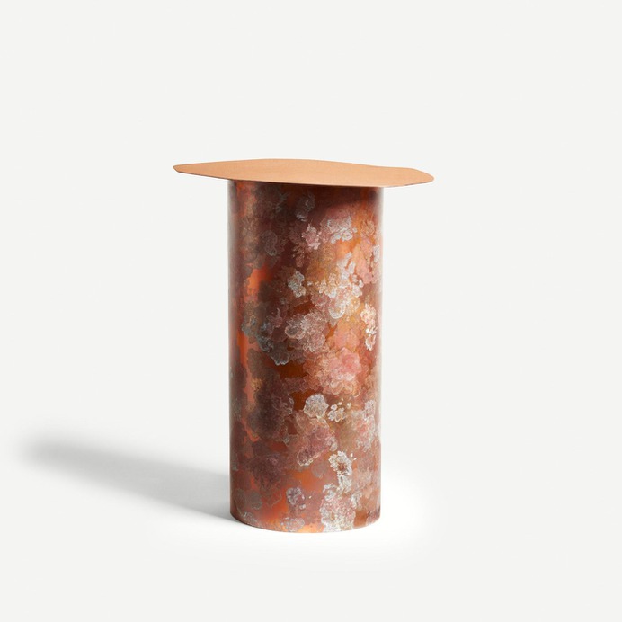 Lichen Collection by Charlotte Kingsnorth