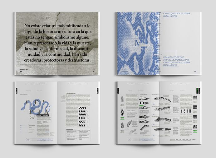Milenaria Serpiente on Behance