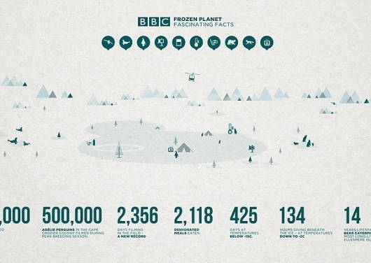 BBC Frozen Planet - Illustration (Personal) on the Behance Network #infographic #design #graphic