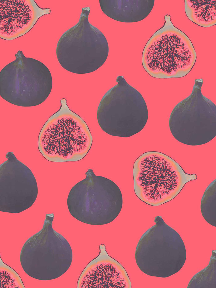 Fig, Figs, Patter