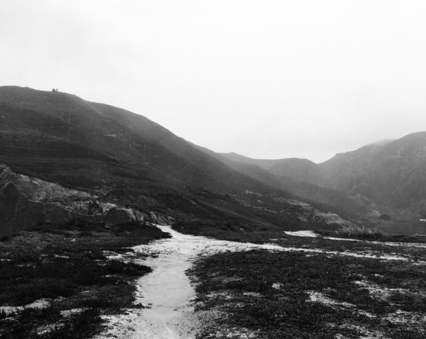 Lauren Davison | PICDIT