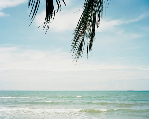 Tony Luong | PICDIT #photo #photos #photography