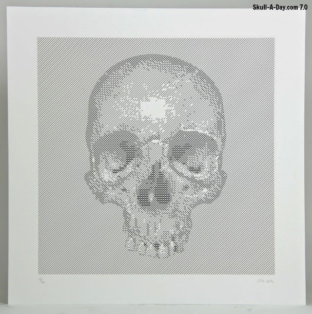 Skull-A-Day #skull #lines #illustration