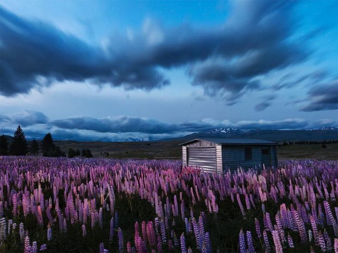 Amazing Nature Landscapes of New Zealand by Nick Crarer