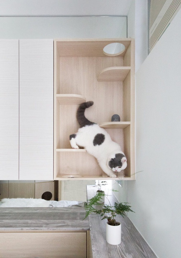 Pets Playground - Residential Interior Design from Sim-Plex Design Studio 7
