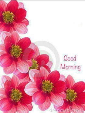 Good Morning With Flower.