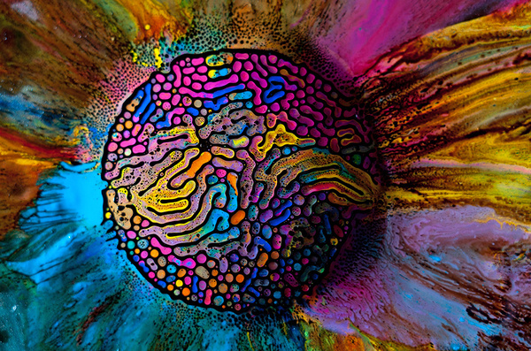 Fabian Oefner, Millefiori #watercolor #biology #magnet