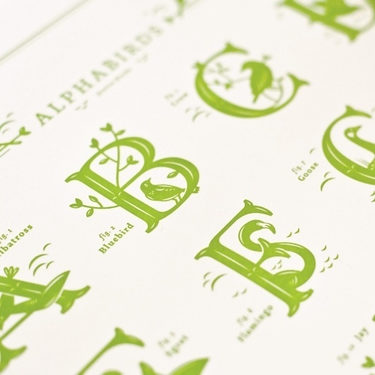 Jessica Hische — Alphabirds Print #letterpress #poster #typography