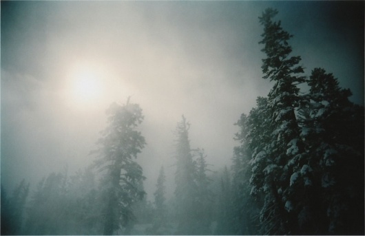 Feaverish Photography § Uncategorizable #photography