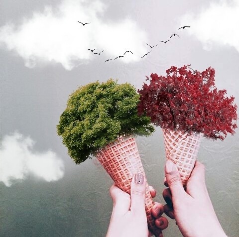 #photography#editorial#image editor#photo editor#collage maker