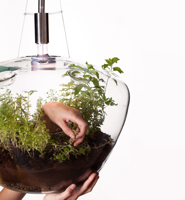 CJWHO ™ (A Suspended Glass Greenhouse Lamp 'glasshouse'...) #creative #lamp #greenhouse #glass #furniture #nature #clever