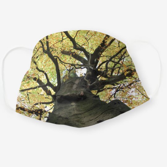Treetop from Below - Tree of Life Cloth Face Mask