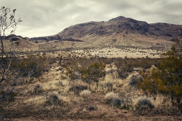 Nature Landscapes by Toshi Oku #inspiration #photography #landscape