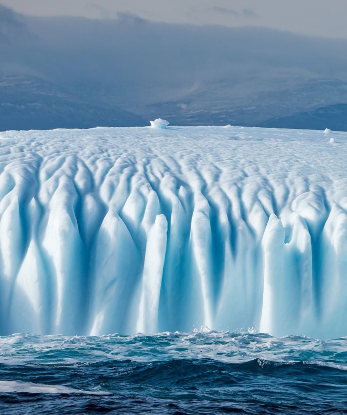 Spectacular Wildlife and Underwater Photography by Justin Hofman