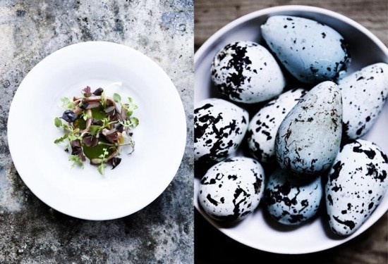 Noma #styling #plating #provence #food #photography