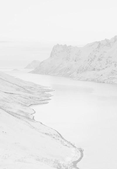 white landscape