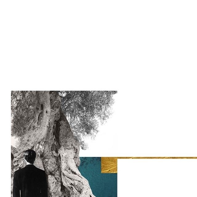 COLLAGE