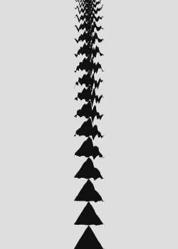 #GraphicDesign #design #minimal #transformation #jameszanoni