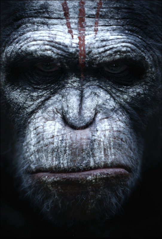 First Posters: "Dawn of the Planet of the Apes" | News | Dark Horizons #dawn #apes #war #of #tribal #monkey #ape #the #primate #portrait #posters #film #face #animal #planet