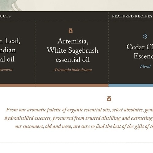 Ryan vs. Clark | Design & Illustration › White Lotus Aromatics #design