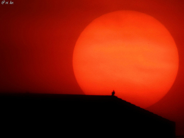 55 Sunset Pictures #sunset #pictures