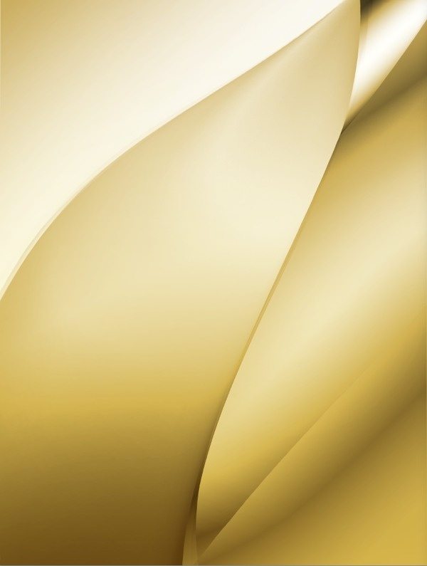 Tulip #design #graphic #tulip #illustration #art