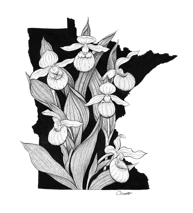 "Minnesota In Bloom" by Chris Cerrato | http://www.cerratosaurus.com/