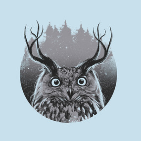 https://www.teepublic.com/user/barmalisiRTB #owl #design #illustration #nature #art #animals