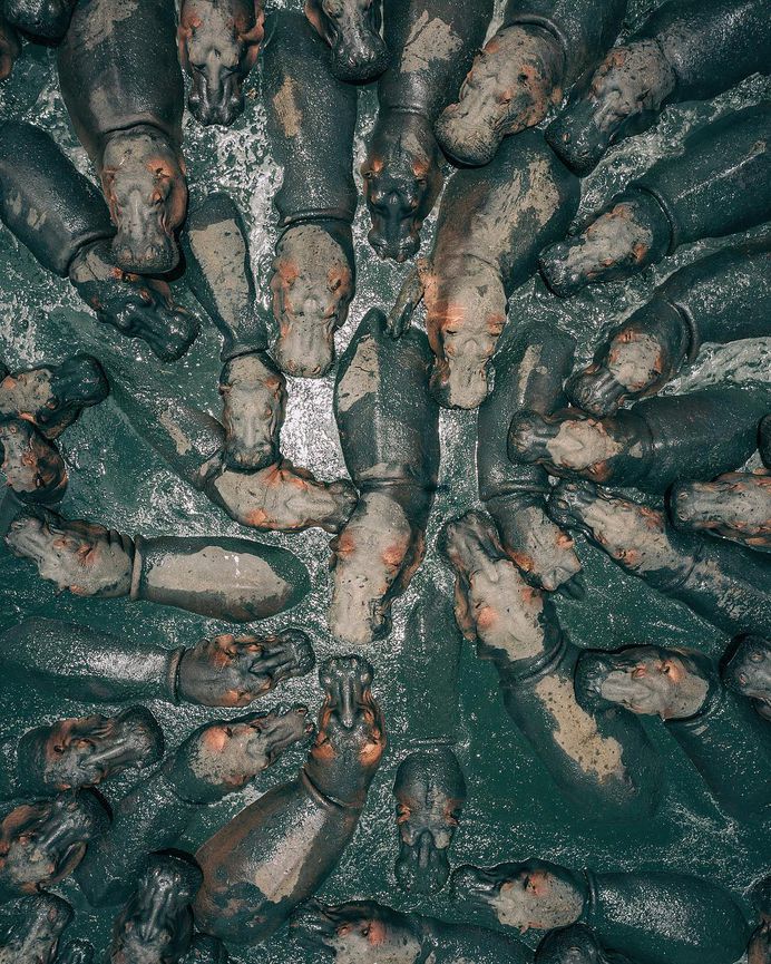 Tanzania From Above: Stunning Drone Photography by Martin Sanchez