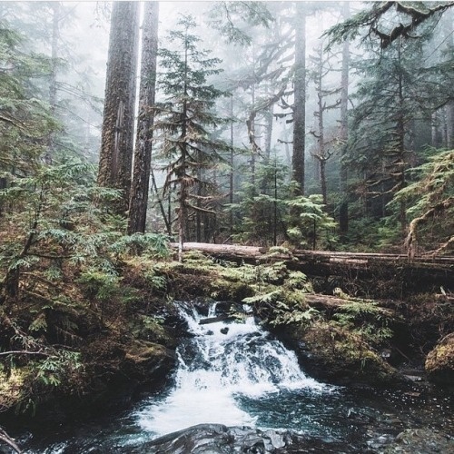 folklifestyle:Photo by @robstrok #liveauthentic #livefolk