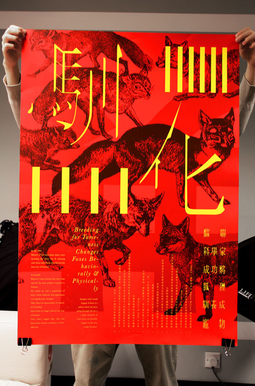 fox, red, yellow, black, design, poster, voyrd.com