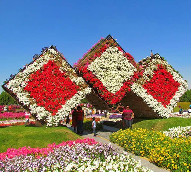 Amazing combination of blocks and petunia flowers at the Dubai Miracle Garden. The garden always comes up with new and creative floral themes all the time.
