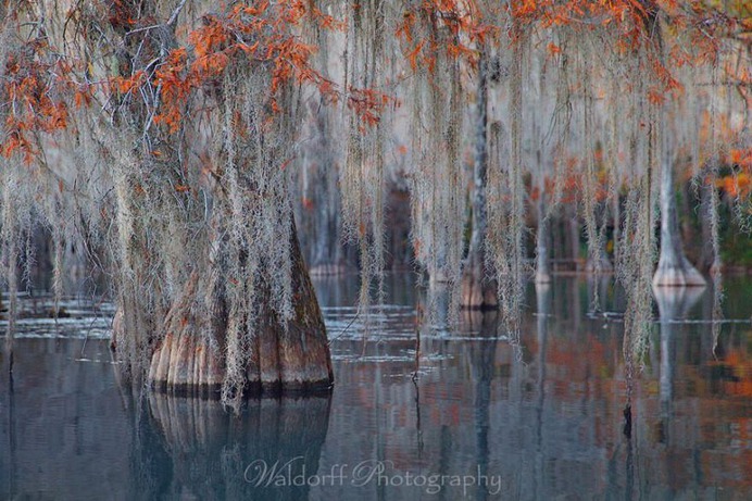 Incredible Landscape Photography in Florida by Jeff Waldorff