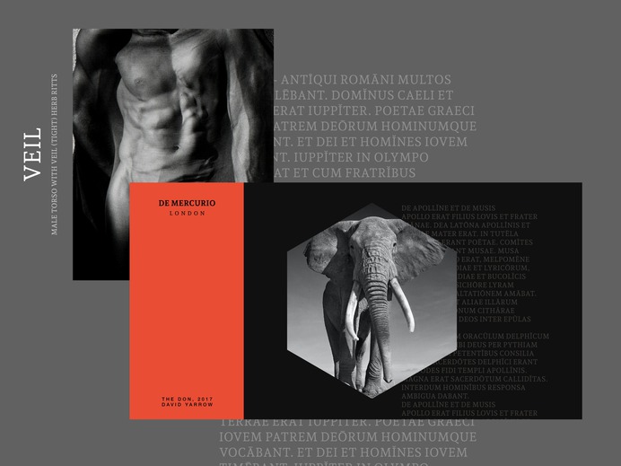 #fashion, #style, #interfaces, #dashboard, #ui, #ux, #uiux, #uxui, #web, #website, #interface, #product, #ossmium, #art