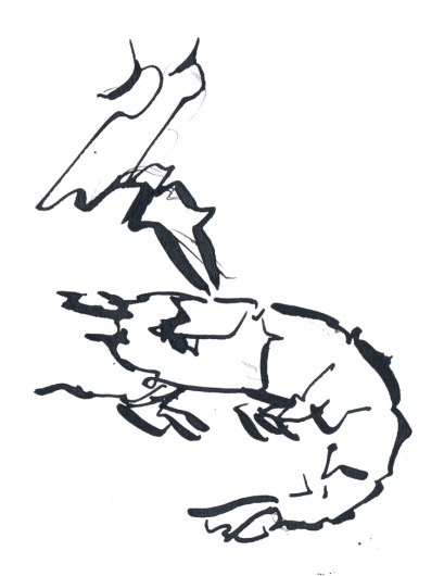 SIU #ink #doodle #prawn #black #fountain #pen #drawing #sketch #shrimp