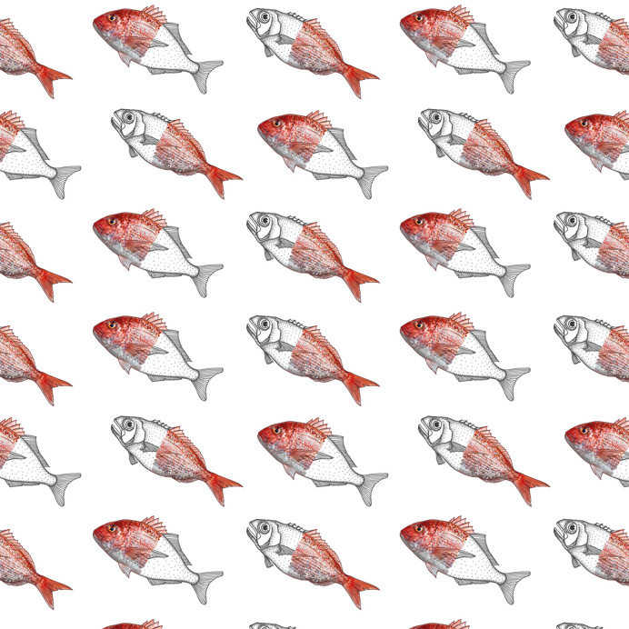 Fish Pattern by Maria Umiewska and Rehua Wilson