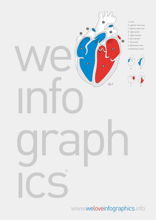 We Love Infographics by Ernesto Lago #creative #infographics #design #datavis #illustration #ernesto #lago #science
