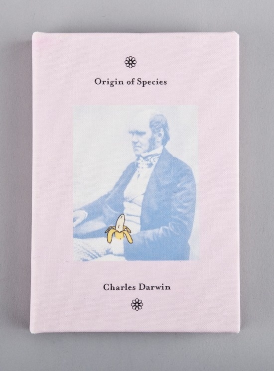 Tom J Hume / Graphic Communicator / +4474533410157 #banana #darwin #hume #book #monkey #cover