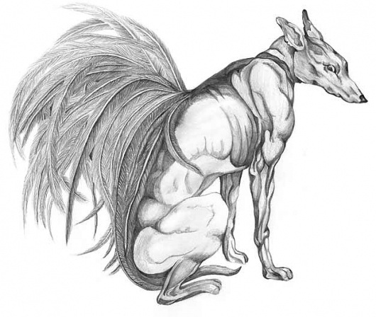 main : orient #fellerer #print #illustration #marge #pencil #dog