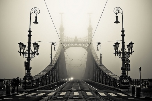 Into the fog - Imgur #photo