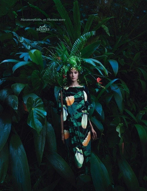 Likes | Tumblr #inspiration