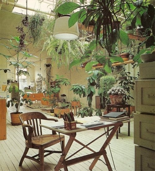 THE BRICK HOUSE #wood #light #plants #floor