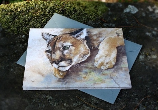 Snail's Pace Mountain Lion Illustration - Note Card #mountain #snails #cougar #lion #pace #stationery #paper