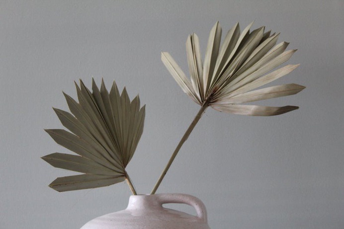 2 x Natural Dried Palm fan / dried stems / Home decor / image 0