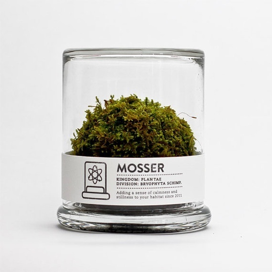 scientific glass moss terrarium #packaging #botanical #terrarium #label