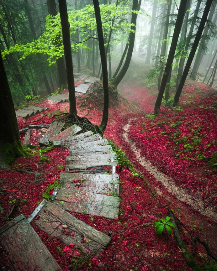 Fantastic Natural Landscapes in Switzerland by Sinhue Boksberger