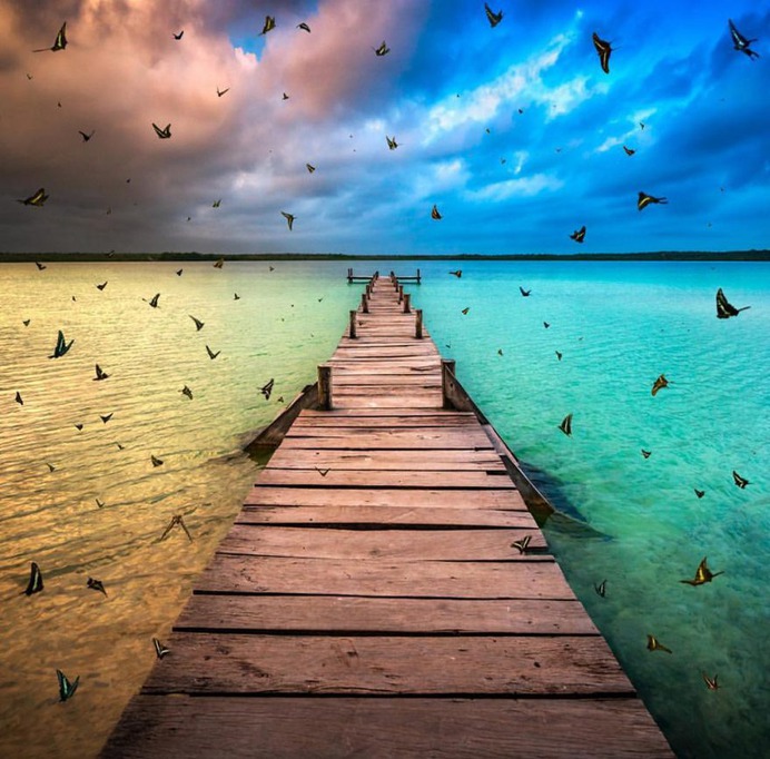 Outstanding Wildlife and Landscape Photography by Pepe Soho