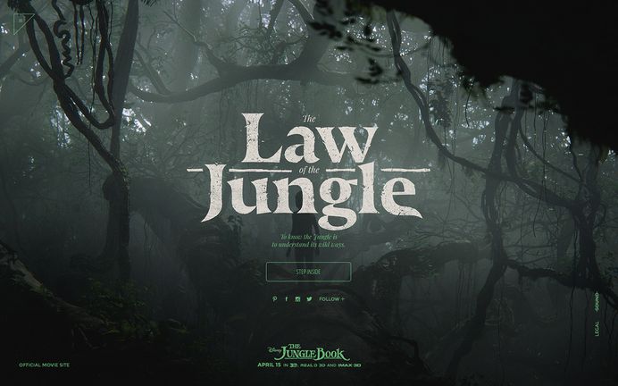 THE LAW OF THE JUNGLE on Behance