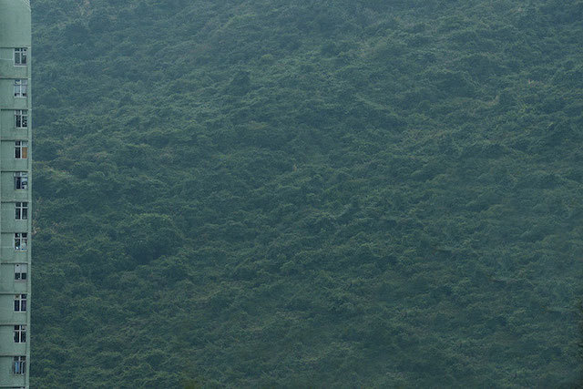 diestro-10 #hong #photography #kong