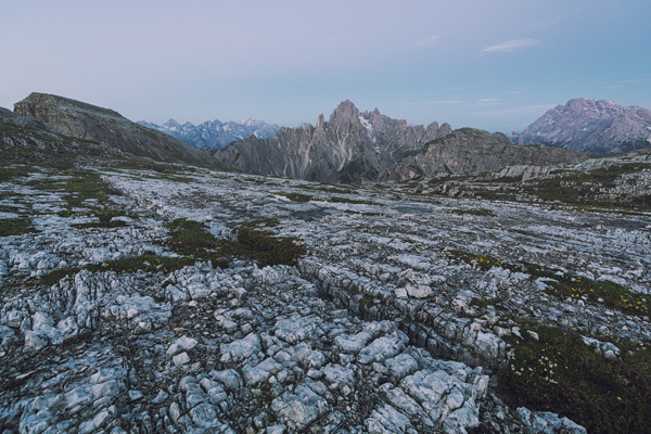 alp impressions VI #nature #mountains